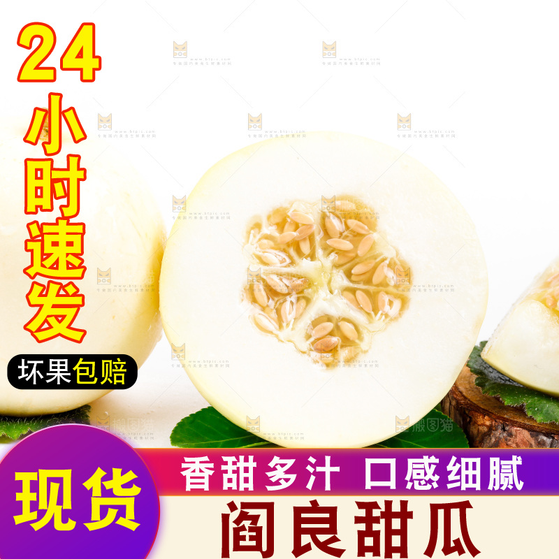 新鲜阎良甜瓜放在白底上