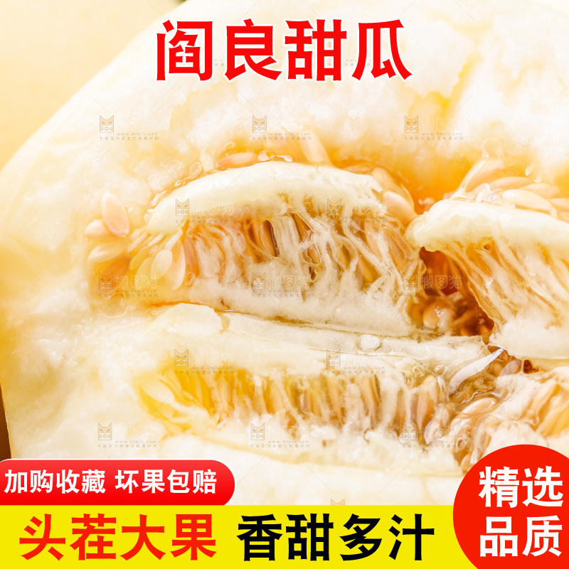 木底上的阎良甜瓜