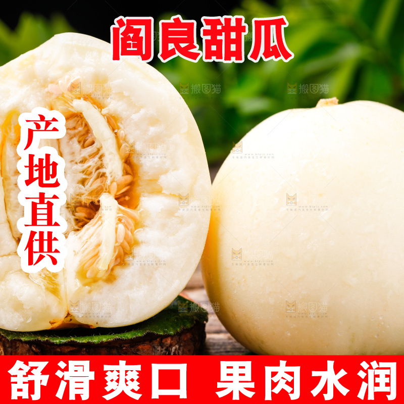 木底上的阎良甜瓜