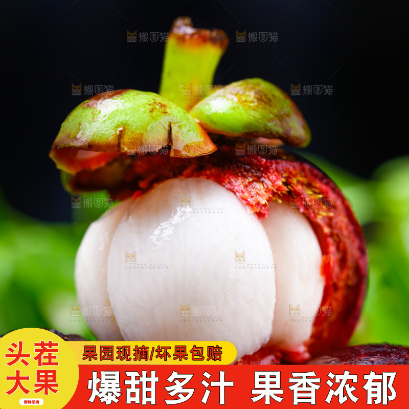 木底上的新鲜山竹