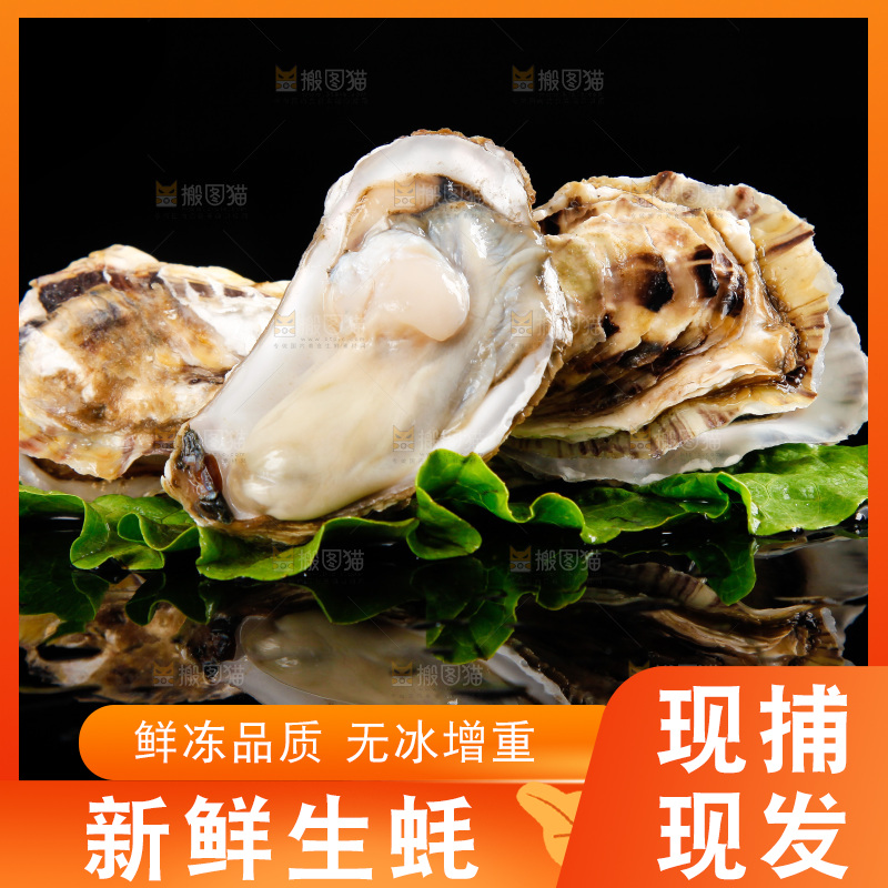 深底上放着牡蛎