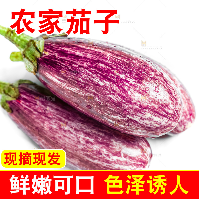 白底上的茄子