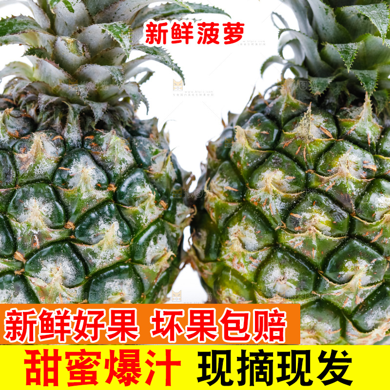 白底上的菠萝