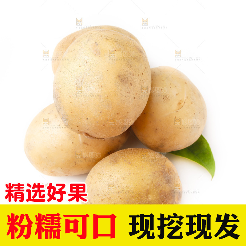 白底上放着黄心土豆