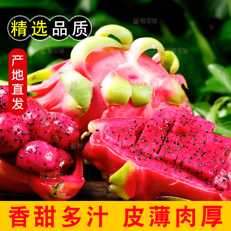 深底上放着红心火龙果果肉
