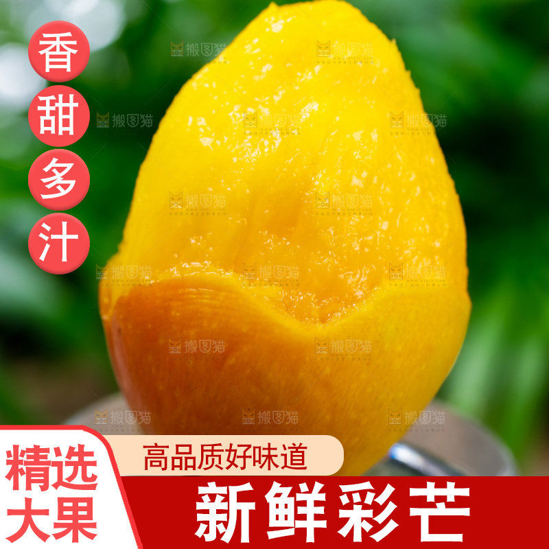 浅底上的彩芒