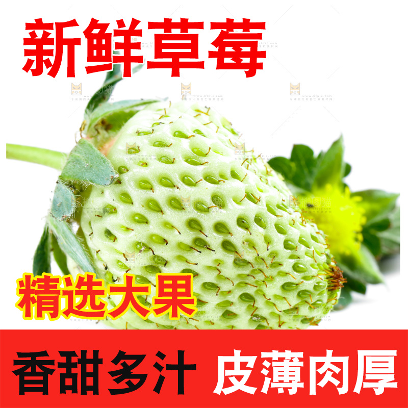 白底上的新鲜草莓