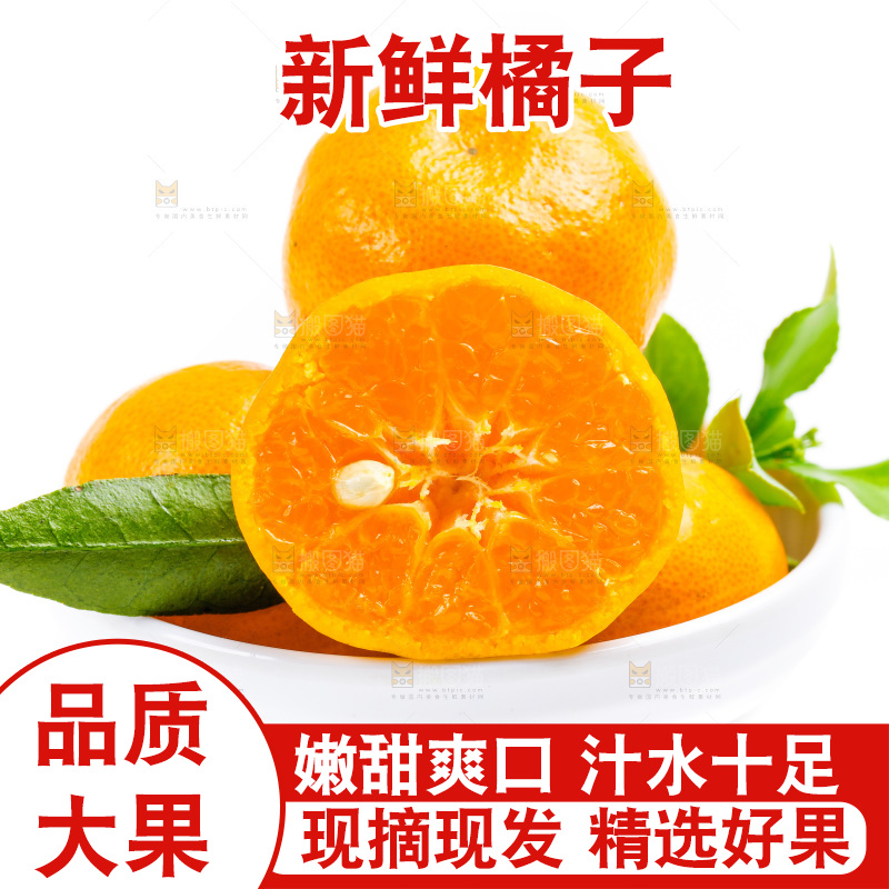 新鲜橘子放在白底上