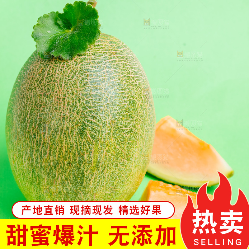 浅底上的哈密瓜