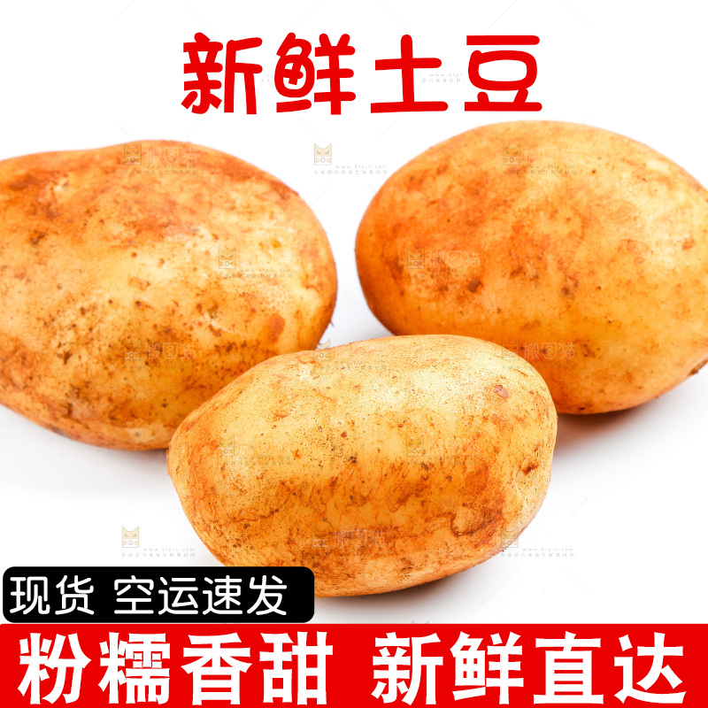 白底上的土豆