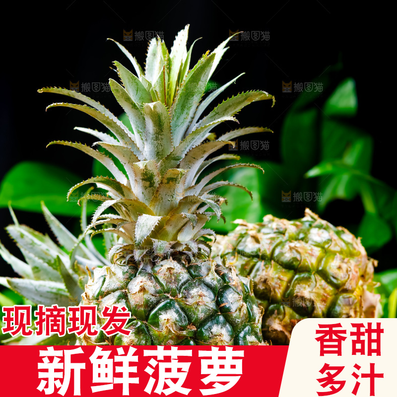 香水小菠萝放在木底上
