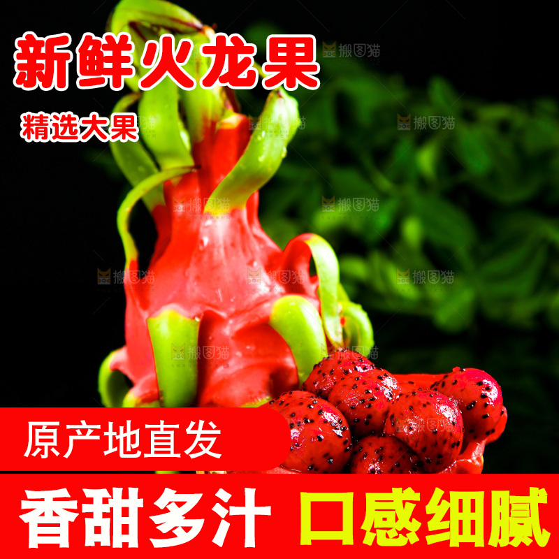 深底上的红心火龙果
