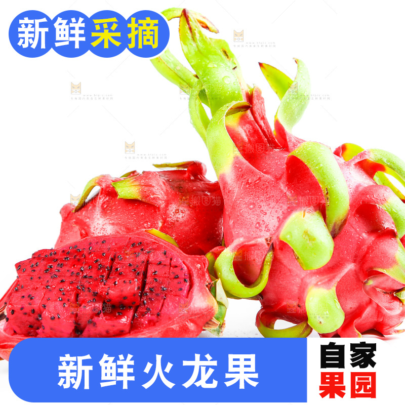 白底上的火龙果