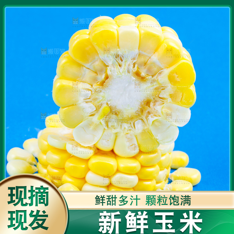 蓝底上放着云南水果甜玉米