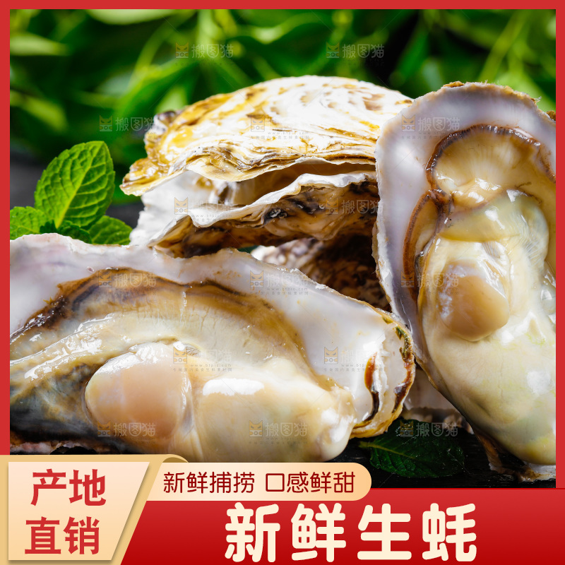 深底上放着牡蛎