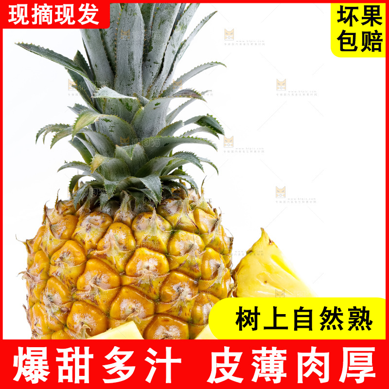 白底上放着新鲜菠萝