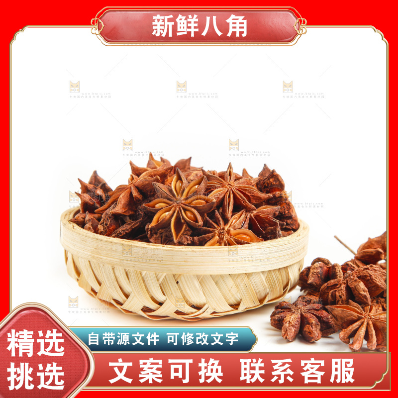 广西八角放在白底上