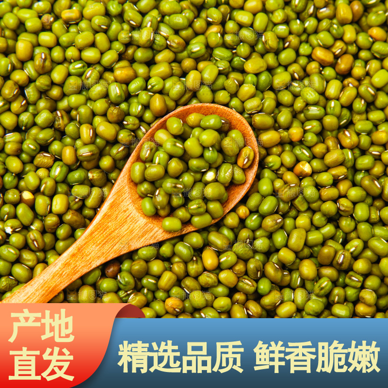 新鲜绿豆放在白底上