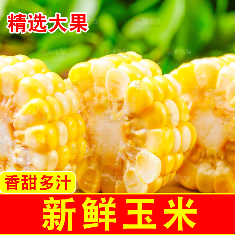 云南水果甜玉米放在木底上
