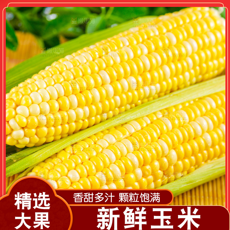 浅底上的水果玉米