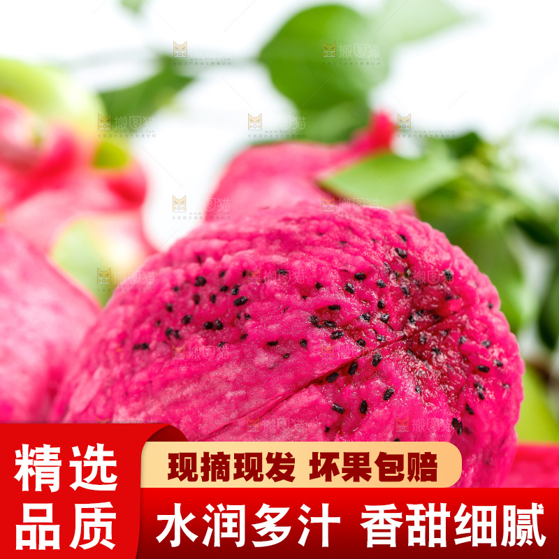 剥皮的红心火龙果放在浅底上