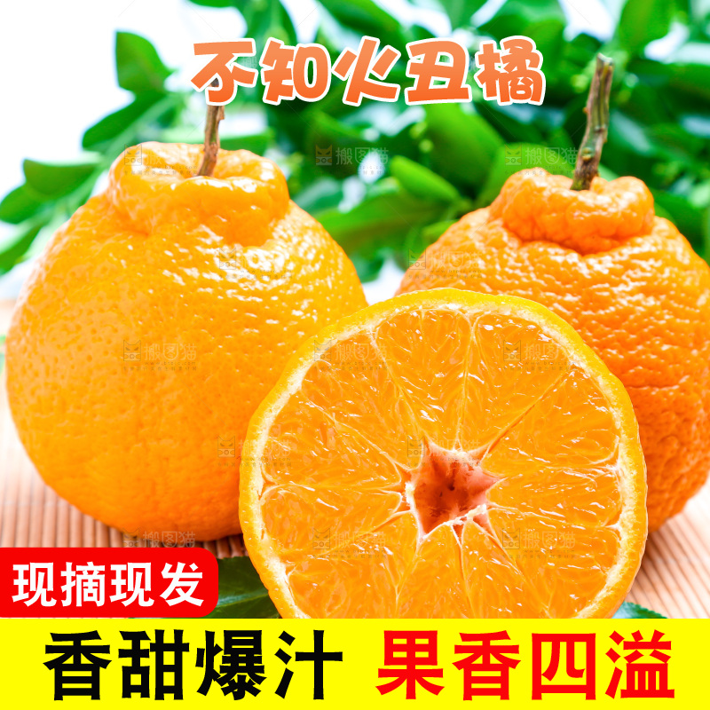 切开的四川丑橘放在浅底上