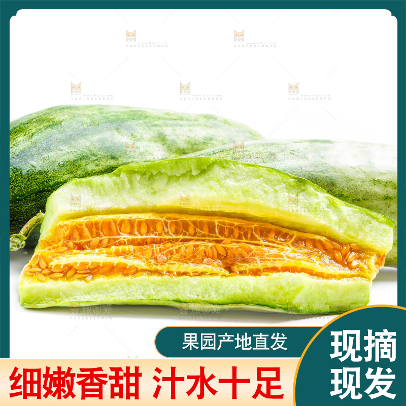 新鲜羊角蜜放在白底上
