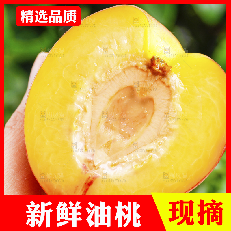 手拿黄心油桃