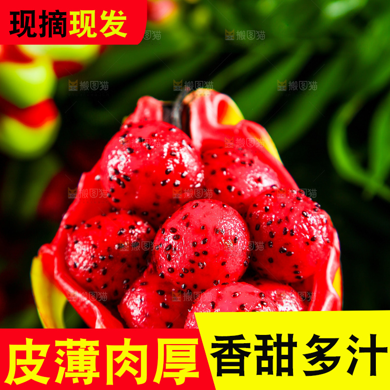 黑底上放着海南红心火龙果