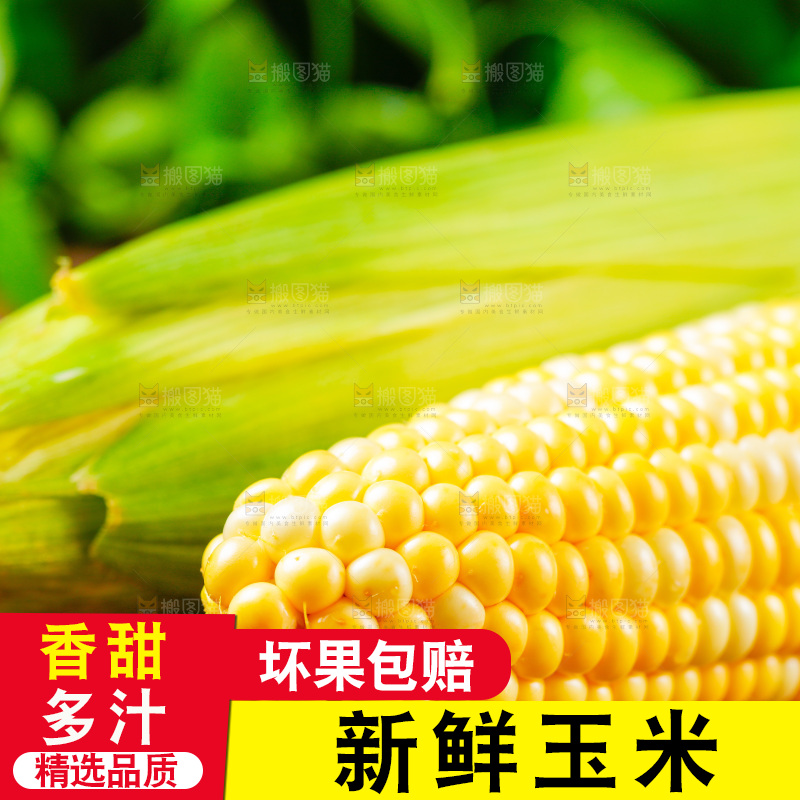 木底上的新鲜玉米