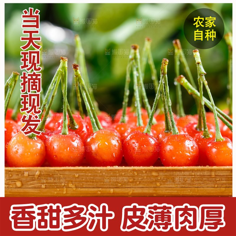 木底上放着烟台水晶黄樱桃