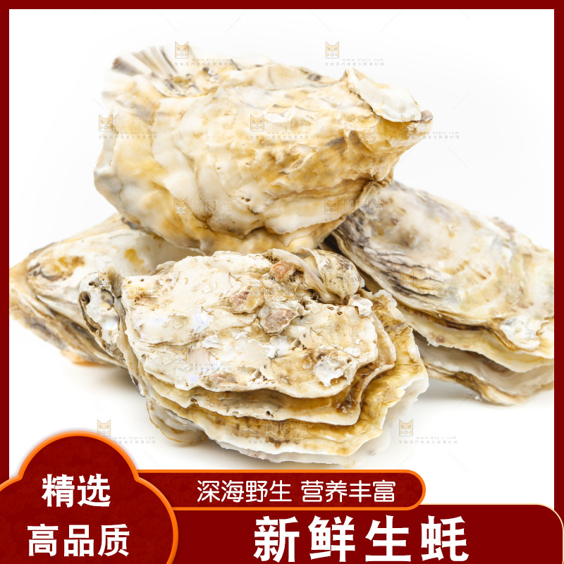 白底上的生蚝