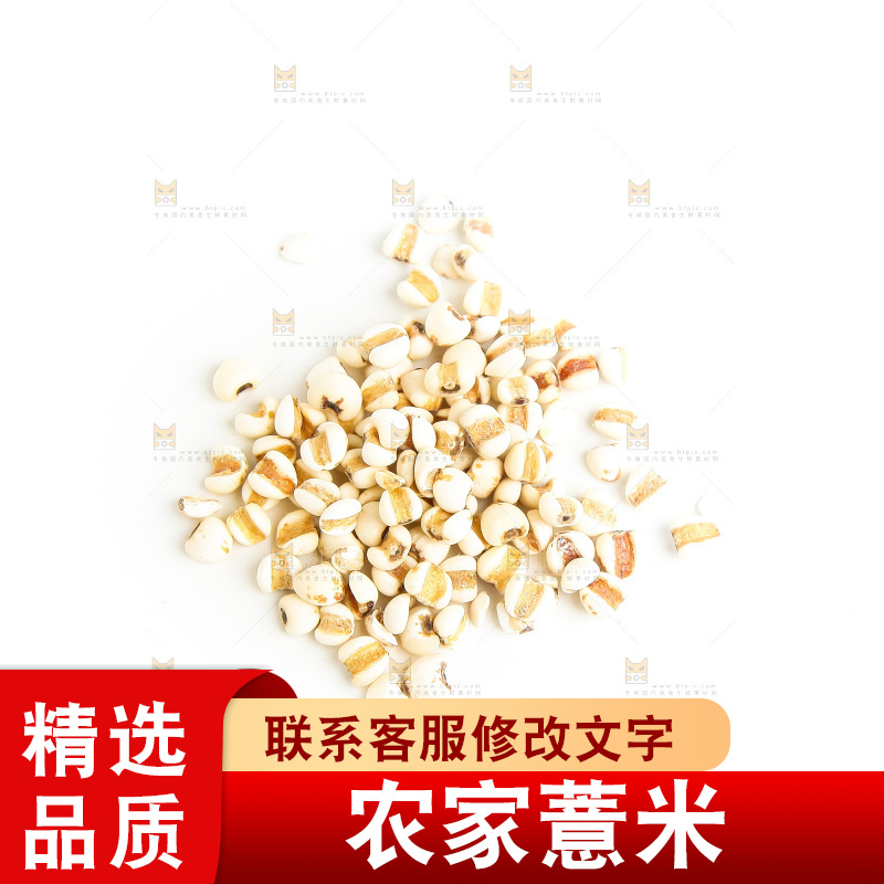 新鲜薏米放在白底上