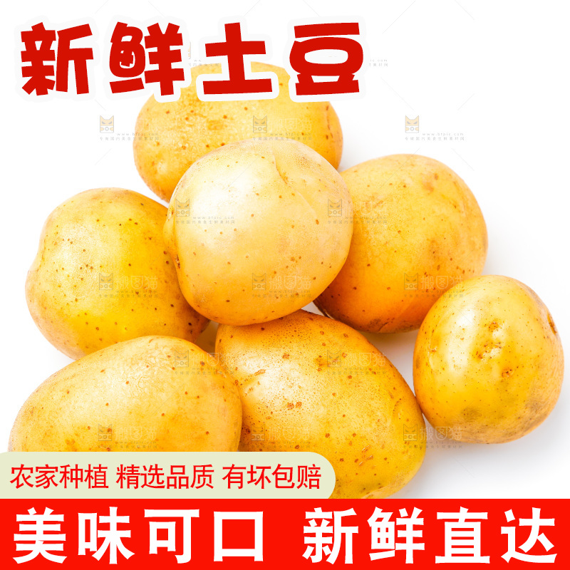 白底上的土豆