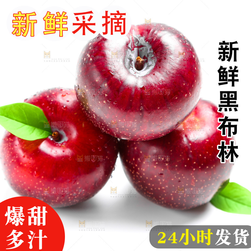 白底上的黑布林