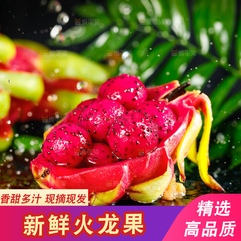 深底上放着海南红心火龙果