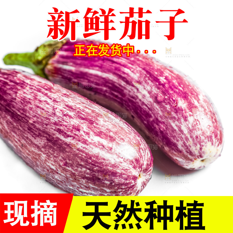 白底上的茄子