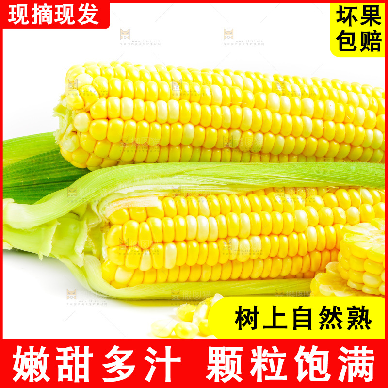 浅底上放着甜玉米