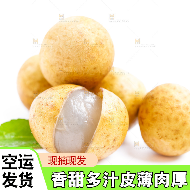 新鲜龙眼放在白底上