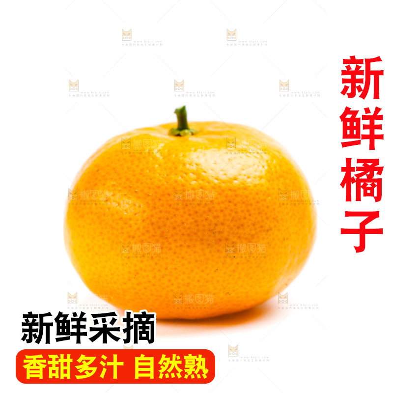 新鲜橘子放在白底上