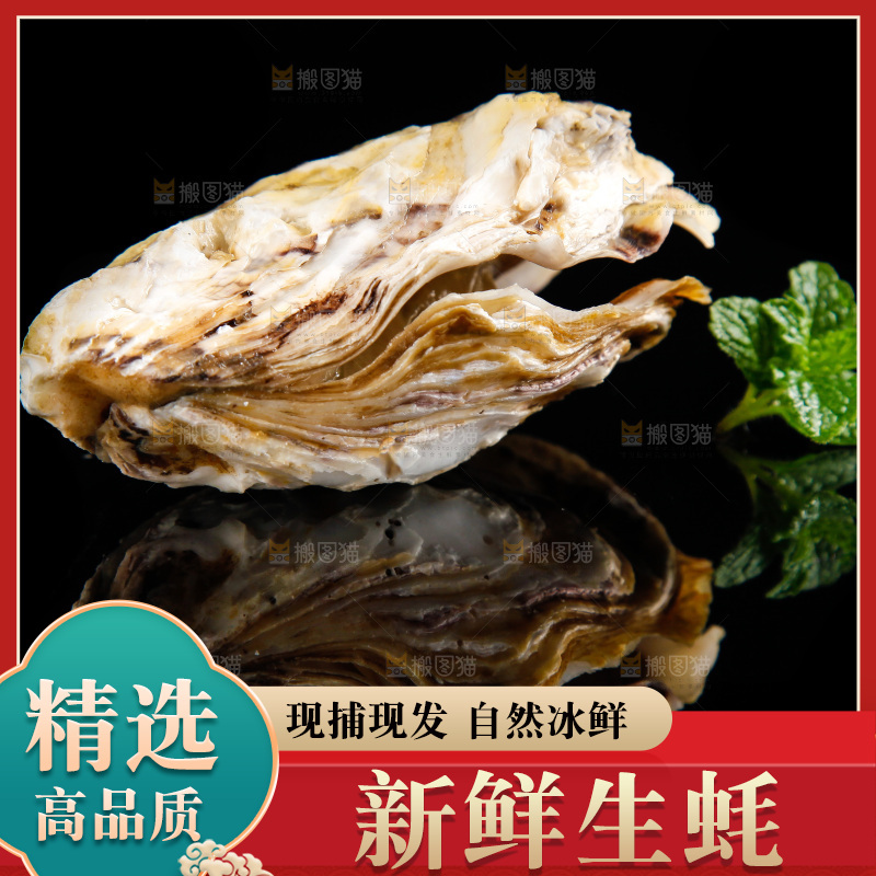 黑底上放着海蛎子