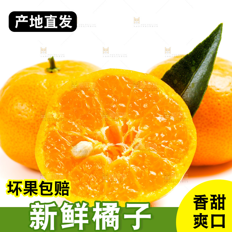 新鲜橘子放在白底上