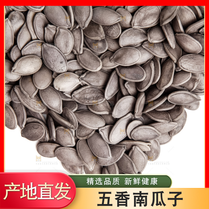 黑南瓜子放在白底上
