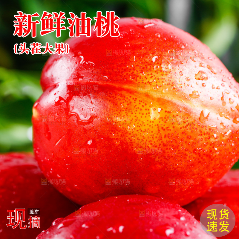 白底上的新鲜油桃
