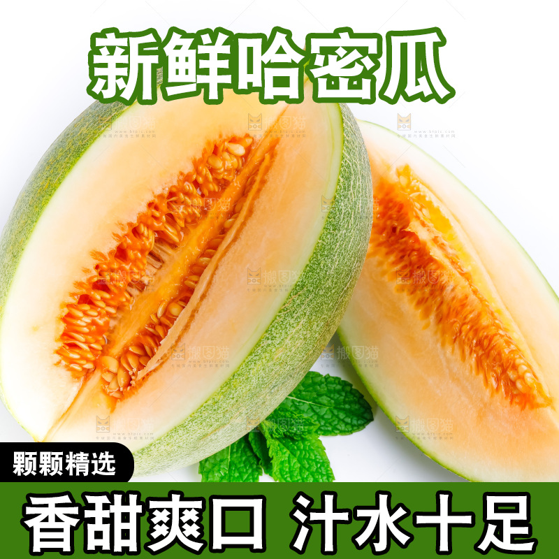 新鲜哈密瓜放在白底上