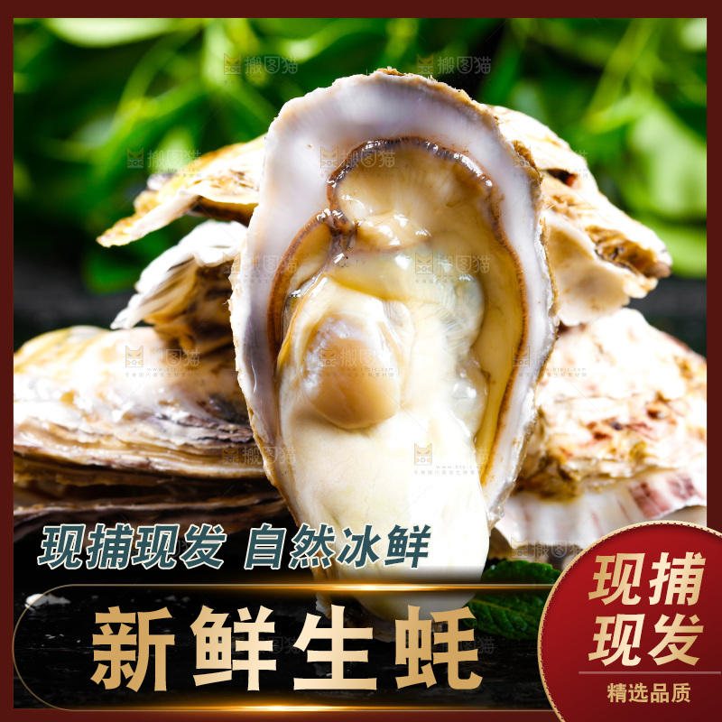 深底上放着牡蛎