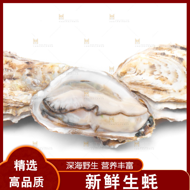 白底上放着海蛎子