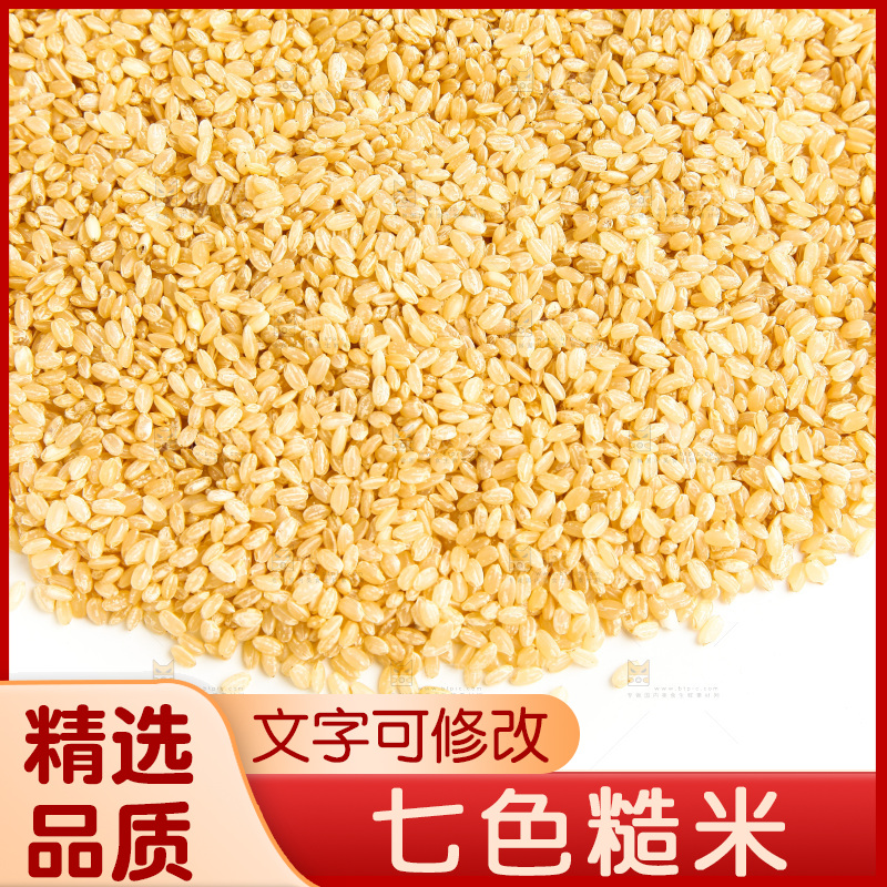 东北糙米放在白底上