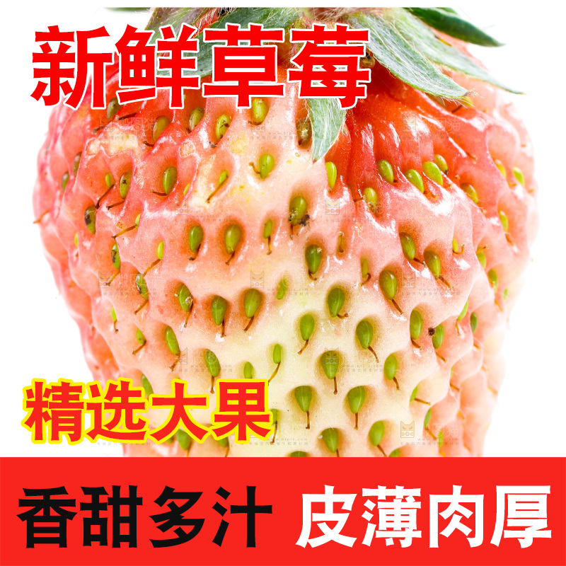 白底上的新鲜草莓