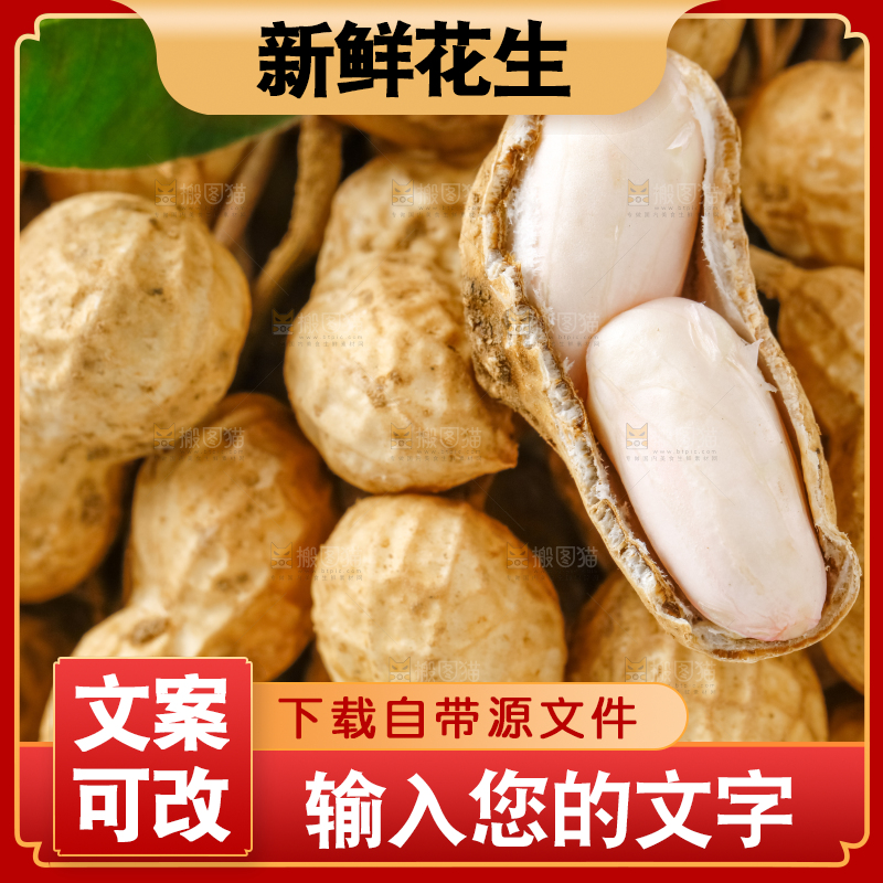 一堆新鲜带壳的花生